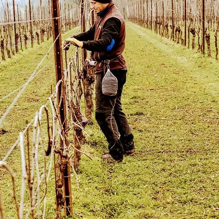 Διαμέρισμα Antica Rinaldo Valdobbiadene