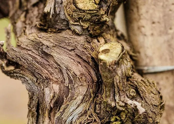 Apartamento Antica Rinaldo