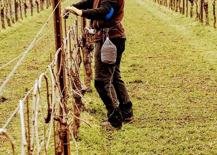 Apartamento Antica Rinaldo Valdobbiadene