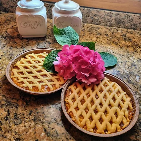 Antica Rinaldo * ולדוביאדנה